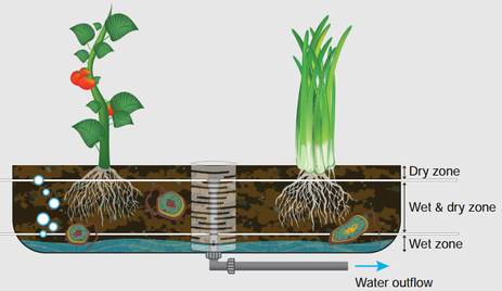 The three zones of a media bed during the drain cycle