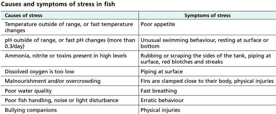 Causes and symptons of stress in fish