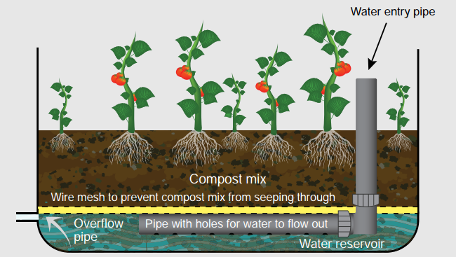 Illustration of a wicking bed system
